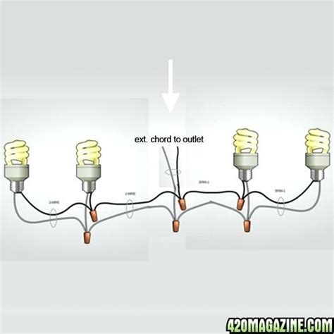 wiring multiple lights on single circuit